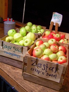 Manoffs apples, copyright Lynne S. Goldman Manoffs apples