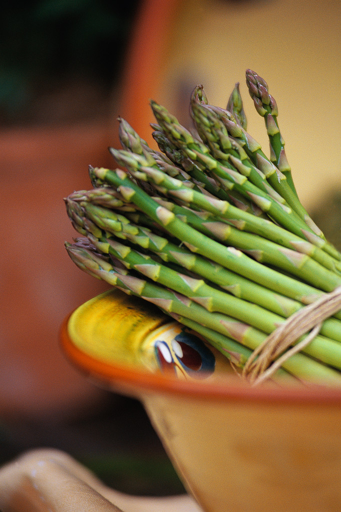 Asparagus; MSClipArt