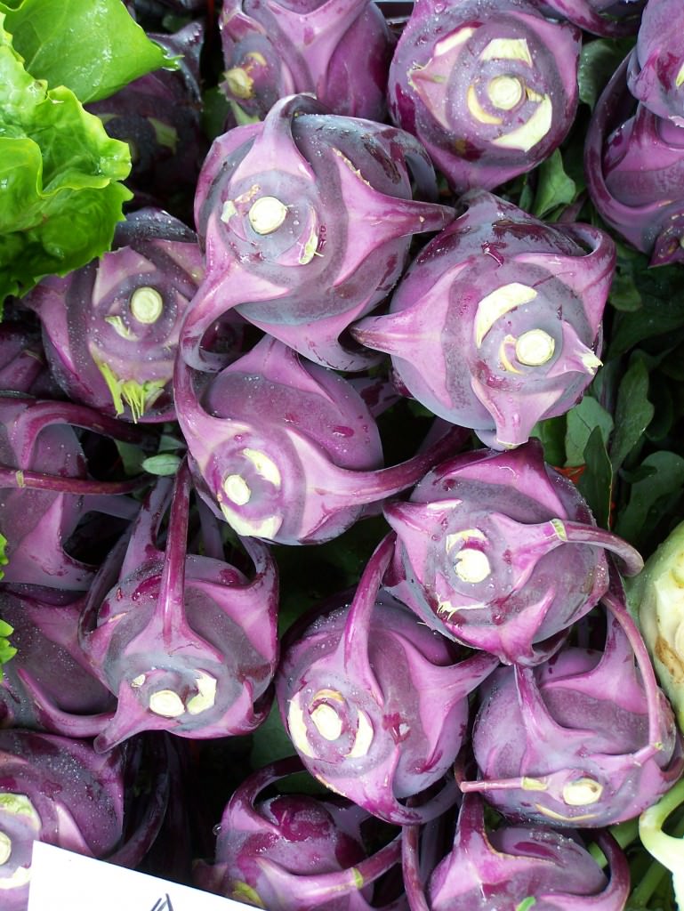 Kohlrabi; photo by L. Goldman