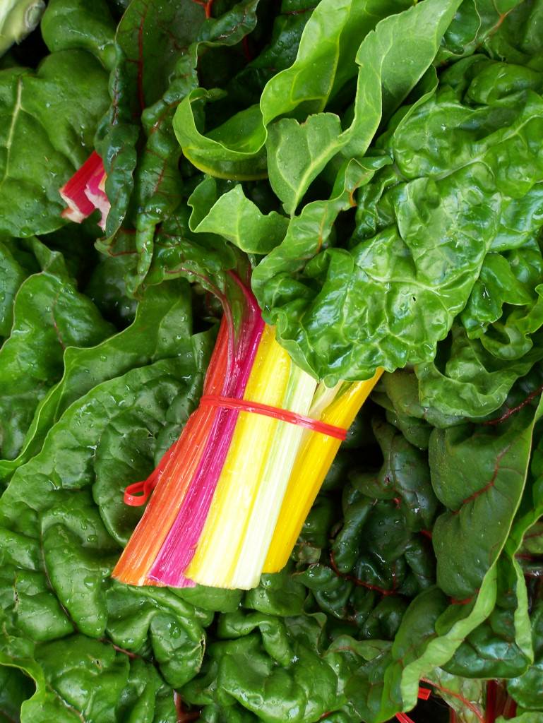 Rainbow Swiss Chard; photo by L. Goldman