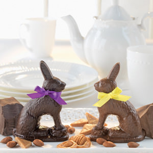 Robert L Strohecker Rabbits
