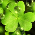 st-patricks-day-1280