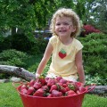 Peddlers Village Strawberry Festival
