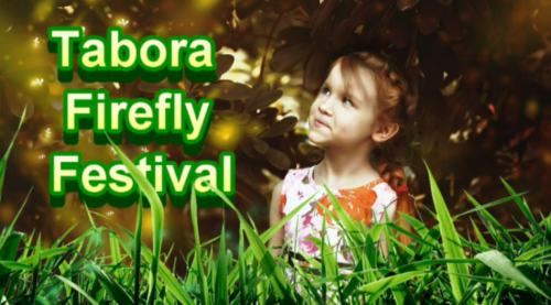 Tabora Farm Firefly festival 