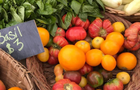 Tomatoes from Wrightstown Farmers Market