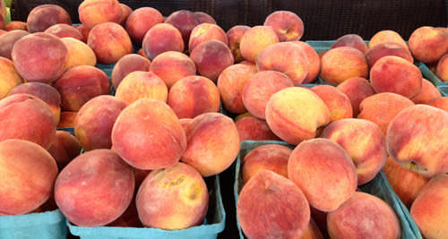 Shady Brook Farm peaches