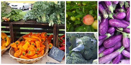 Farmers market produce in Bucks