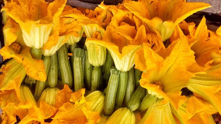 Greens and Zucchini Flowers