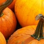 cropped-October-pumpkins.jpg