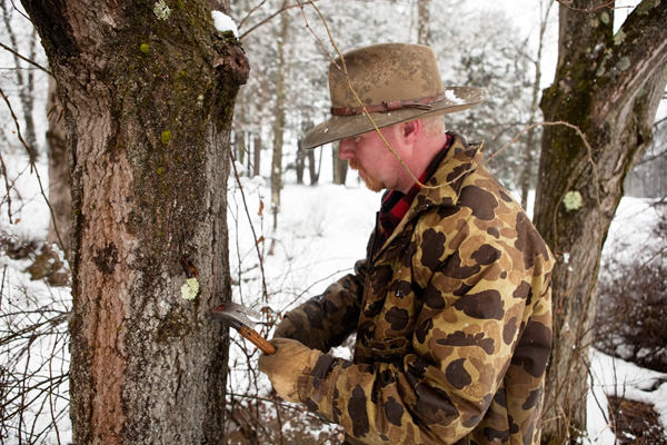 Maple Syrup in Tinicum