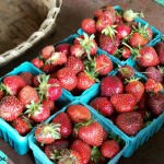 Center Farm strawberries; photo by L. Goldman