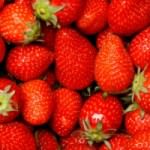 cropped-Strawberries_large.jpg