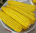 Prize-winning corn