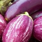 cropped-eggplants_banner_2.jpg