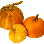 Pumpkins; MSClipArt