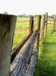 Fence at Tussock Sedge Farm; photo by L. Goldman