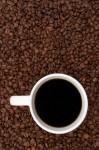 coffee beans and brewed; MSClipArt