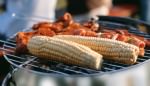 Corncobs and meat on grill; MSClipArt