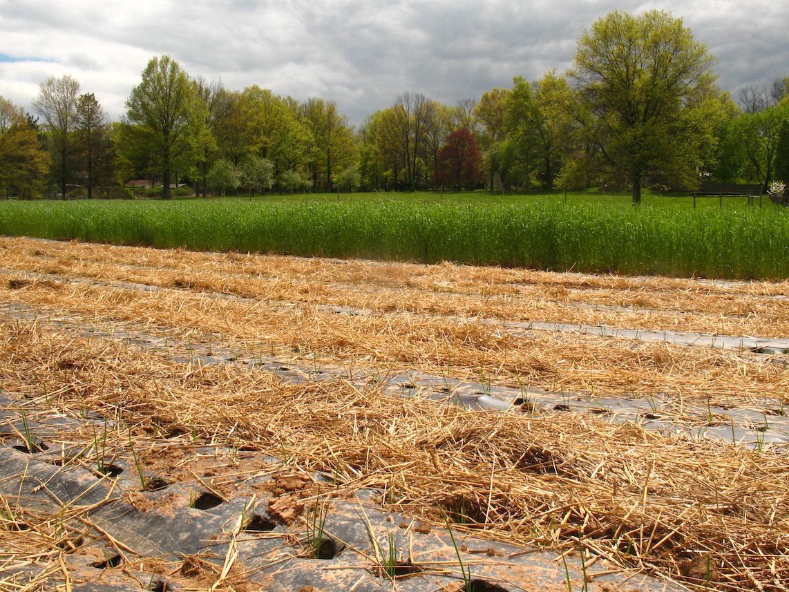 Tidbit: The facts about food and farming