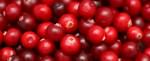 PageLines- cranberries_crop.jpg