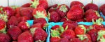 PageLines- banner-strawberries.jpg