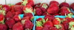 PageLines- banner-strawberries_web.jpg