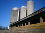 Fulper Farm silos