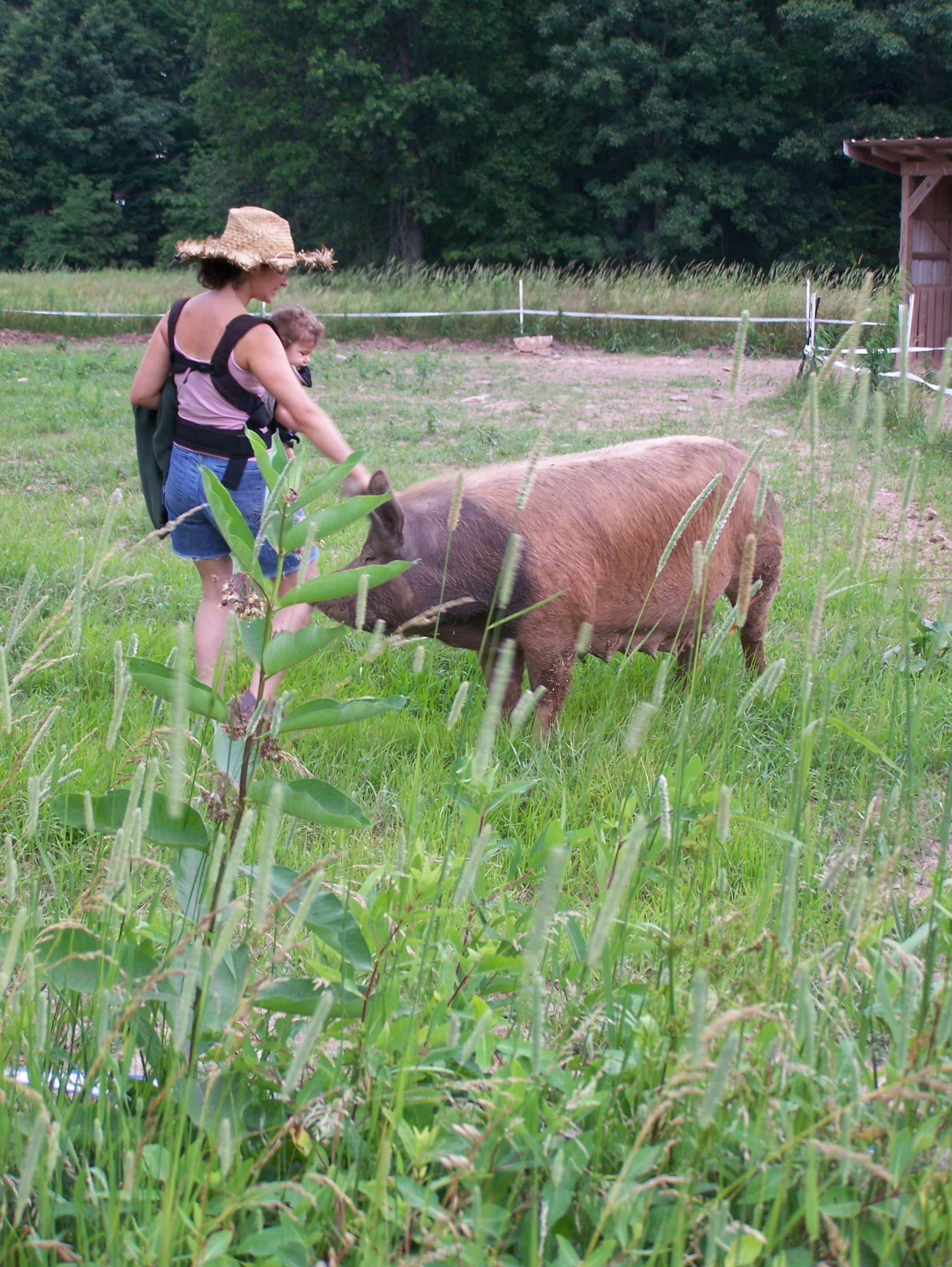Joanna and pig