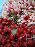 Radishes at Wrightstown Farmers Market