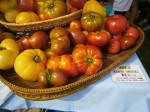 Heirloom tomatoes from Blooming Glen Farm; photo by L. Goldman