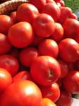 Tomatoes from Blooming Glen Farm
