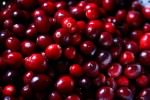 PageLines- cranberries_Muffet.jpg