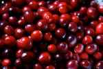 PageLines- cranberries_photobyLizWest.jpg