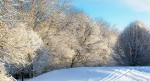 Bucks County snow 020409