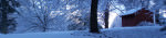 PageLines- snowbanner_1_900x200.jpg