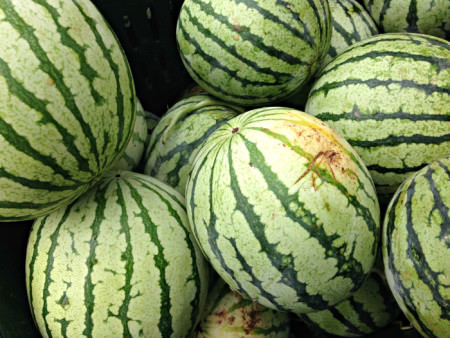 Yellow Watermelon from Blooming Glen Farm