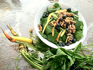 Fresh Fridays: Blueberry, Carrot & Spinach Salad with Herb Citrus Vinaigrette