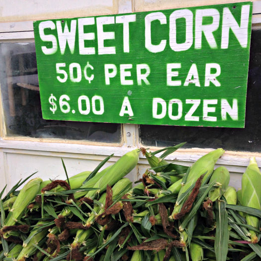 Corn_Slack Farm_2014 Corn_Slack Farm_2014
