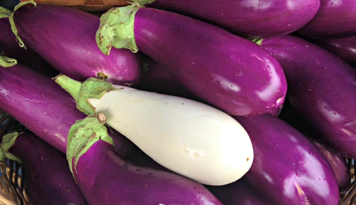 Eggplants from Blooming Glen Farm; photo credit L. Goldman