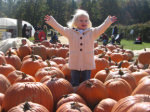 Child in Pumpkins at Terhune Orchards