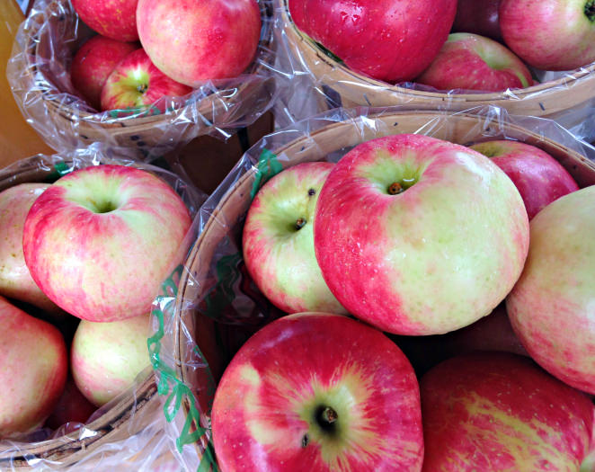 Apples from Solebury Orchards