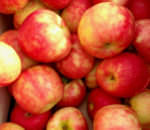 Honey crisp apples from Solebury Orchards_Oct 2014