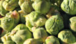 Brussels sprouts_crop