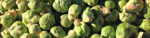 PageLines- brusselssprouts_Nov82014_banner.jpg