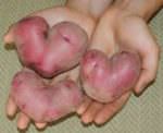 Love Potatoes