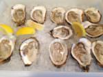 oysters from Madara’s Seafood_June 11 2015