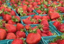 strawberries at market