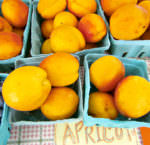 Apricots_Solebury Orchards