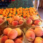 Solebury Orchards Peaches Apricots and Blueberries