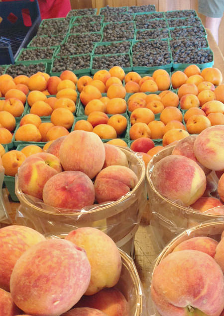 peaches_apricots_blueberries_Solebury Orchards_crop